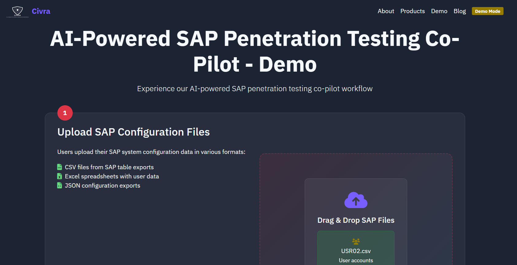 AI-Powered SAP Penetration Test Co-Pilot media 5