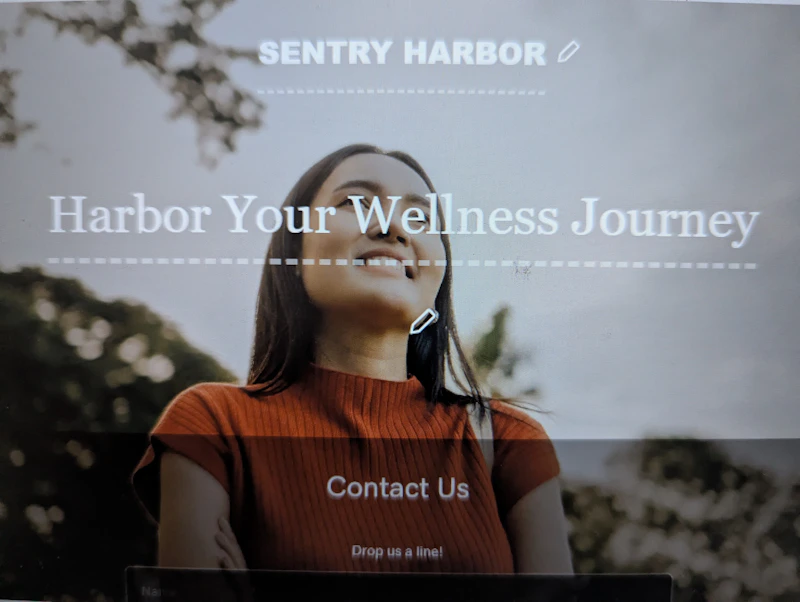 Sentryharbor screenshot 3