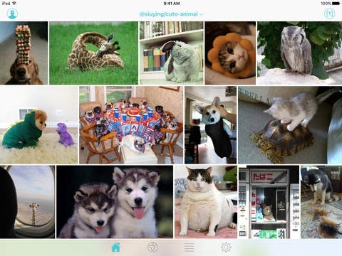 Finch for Twitter gallery image