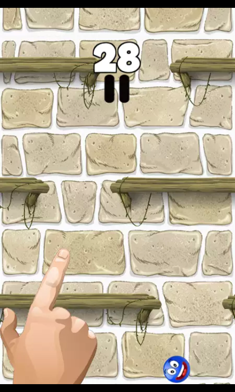 Focus on the ball gallery image