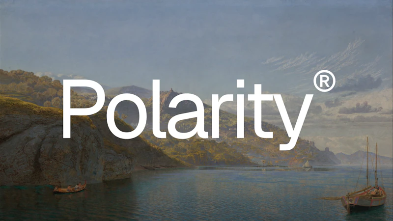 Polarity screenshot 2