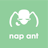 NapAnt