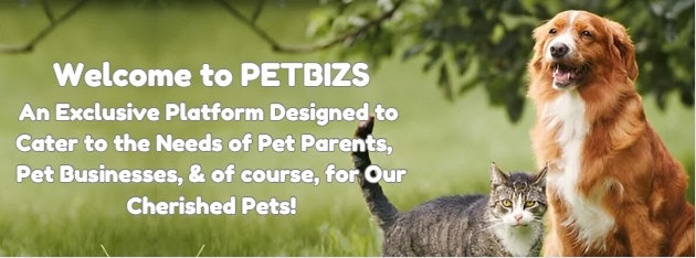 Pet Industry Visual Advertisement Portal media 2
