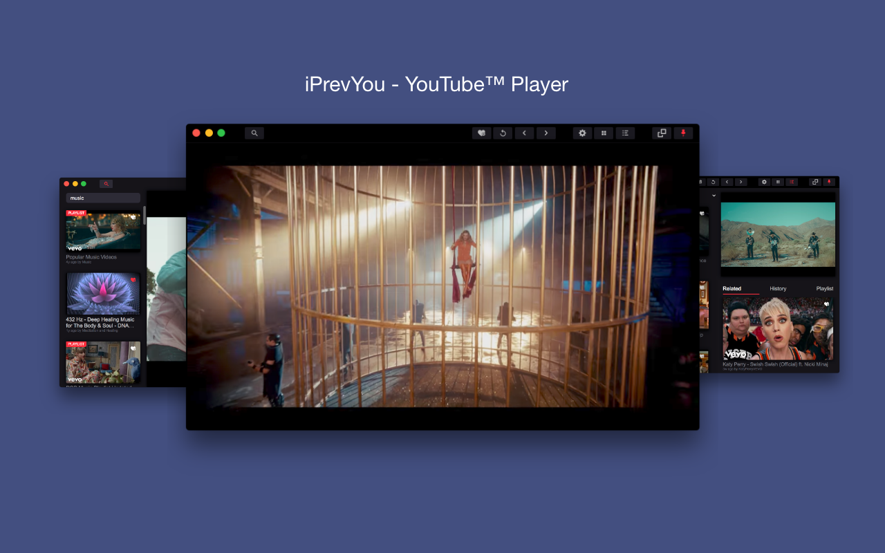 iPrevYou - YouTube™ Player gallery image