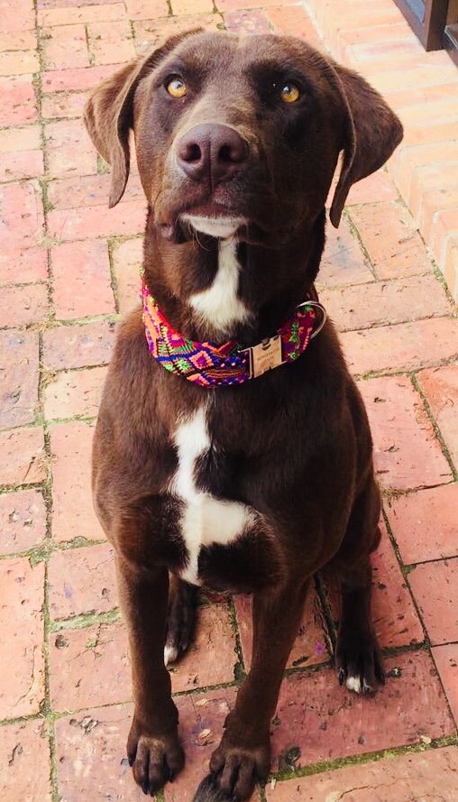 Bacanito gallery image