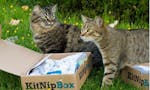 KitNipBox image