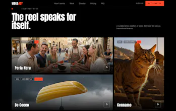 VideoJoy gallery image
