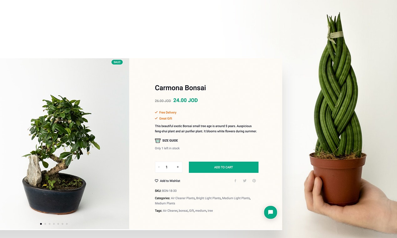 Nabteh.com gallery image