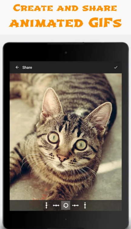 💥 Jellify: Living Photos & Funny Effects gallery image