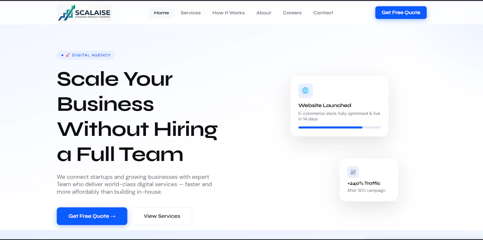 Scalaise Digital Agency  screenshot 1