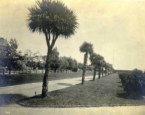 OldSF Image