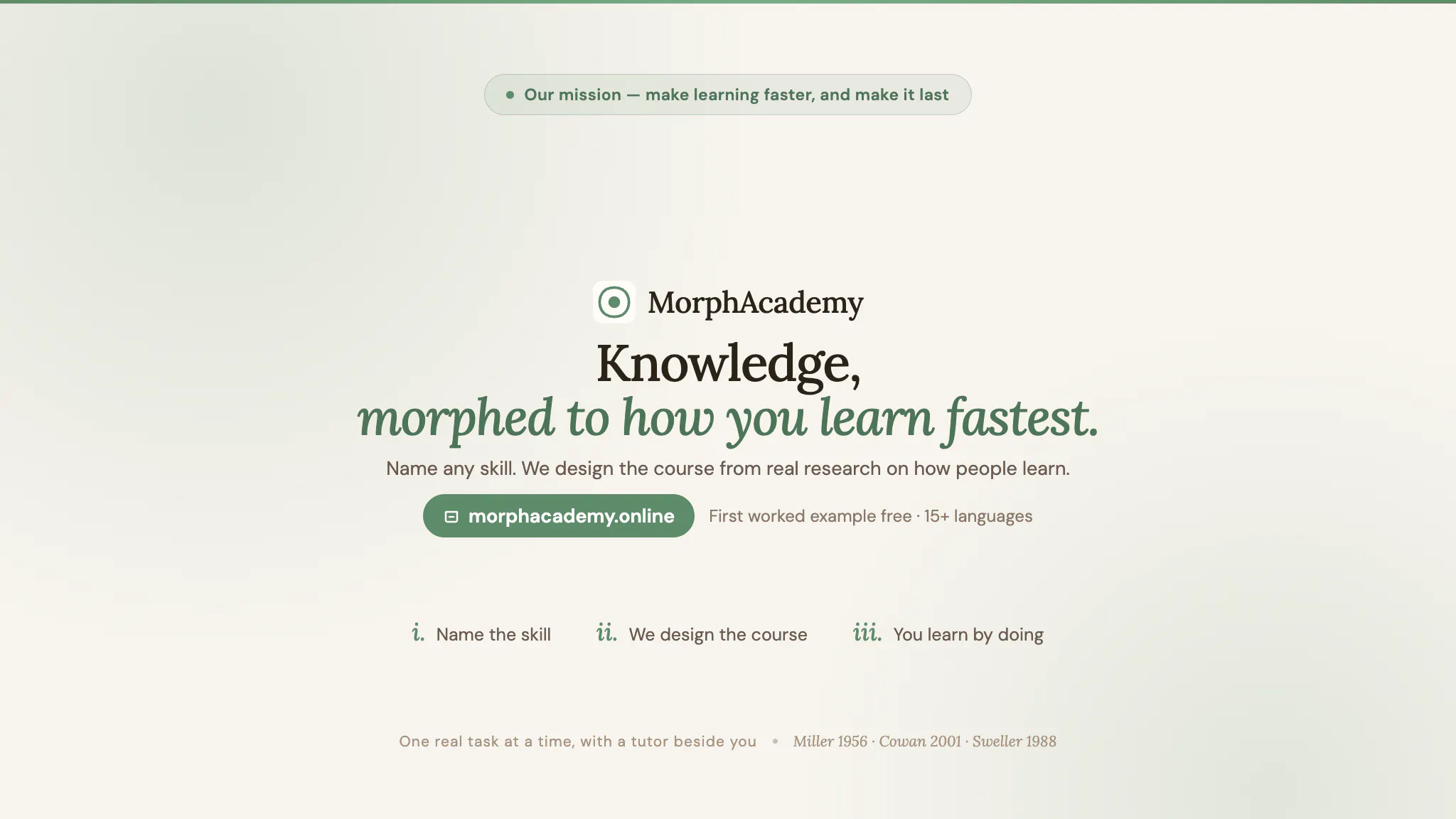 Morphacademy.online gallery image