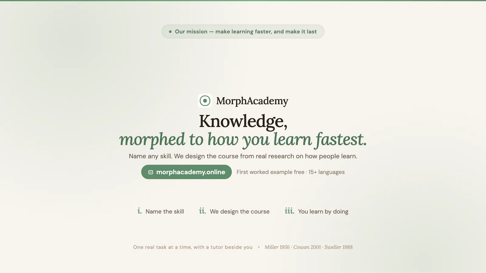 Morphacademy.online screenshot 3