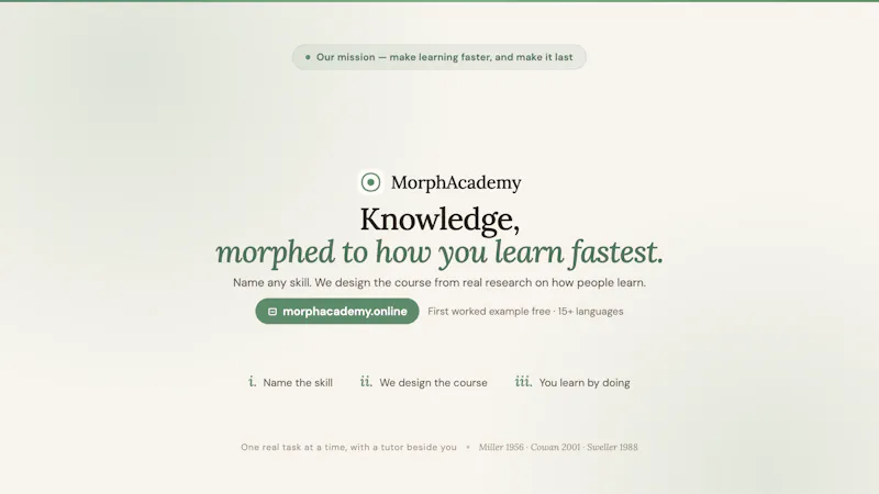 Morphacademy.online screenshot 3