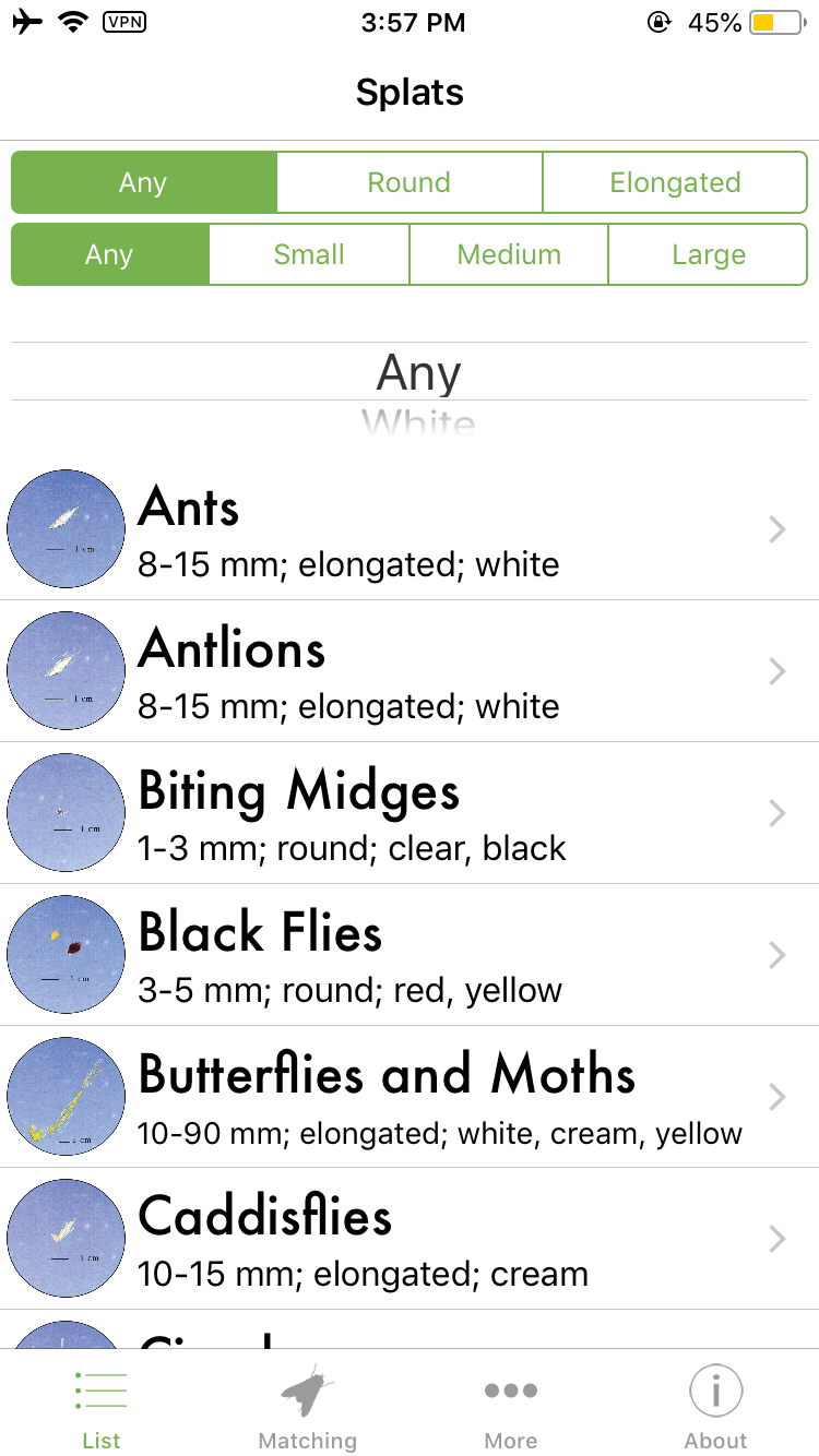 That Gunk On Your Car gallery image