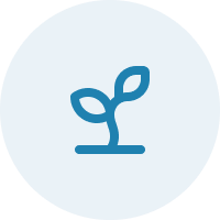 OpenSeed