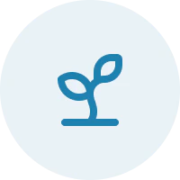 Illustrative hero image for the OpenSeed review.