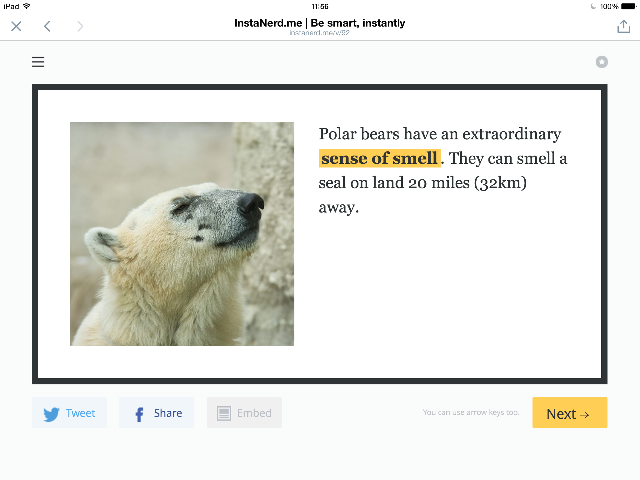 InstaNerd gallery image