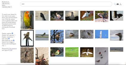 Machine Perception gallery image