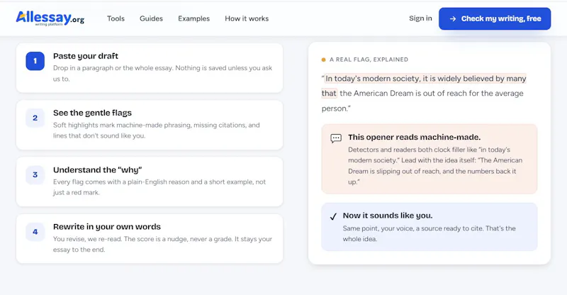 Allessay.org screenshot 5