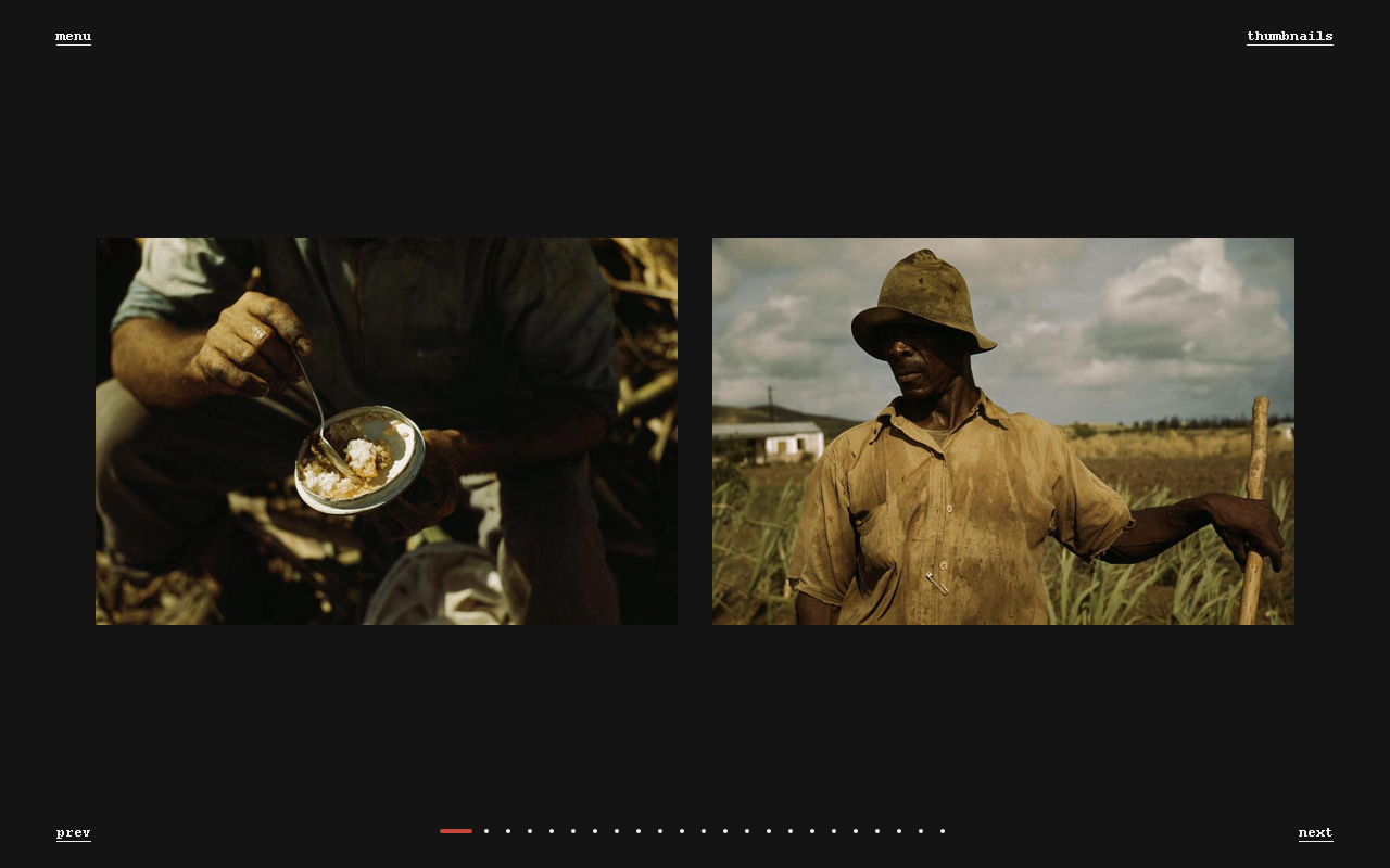 Foliodot gallery image