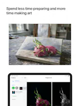 Artist Reference & Value Study gallery image