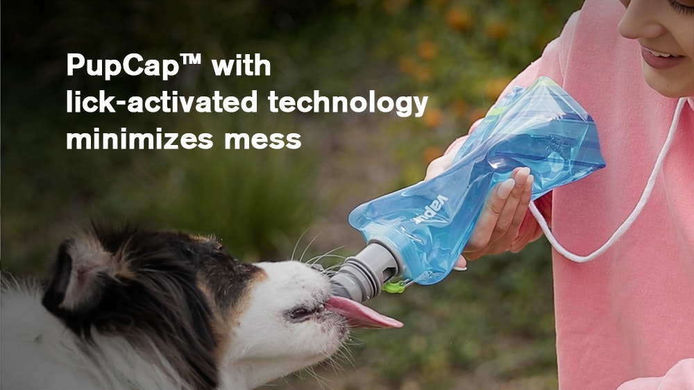 Ez Lick Foldable Dog Bottle gallery image