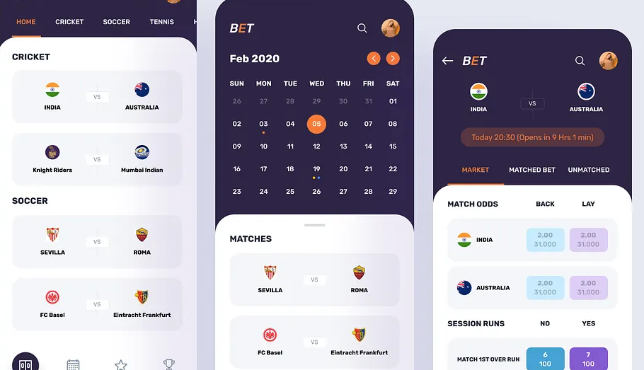 Dream11 Klon Uygulaması - Gelişmiş özelliklere sahip sağlam bir Dream11 klonu oluşturmak medya 1