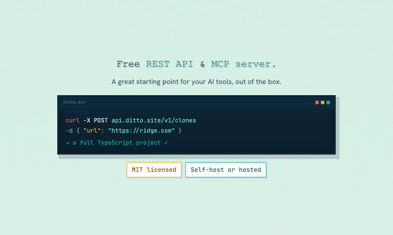 ditto.site screenshot 6