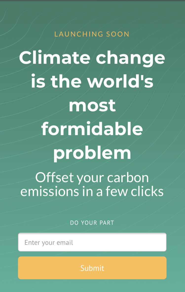Carbon Offsets on Black Friday gallery image