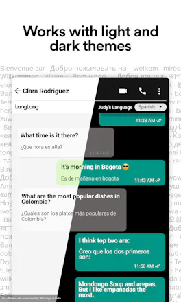 LangLang - Chat Translator for WhatsApp gallery image
