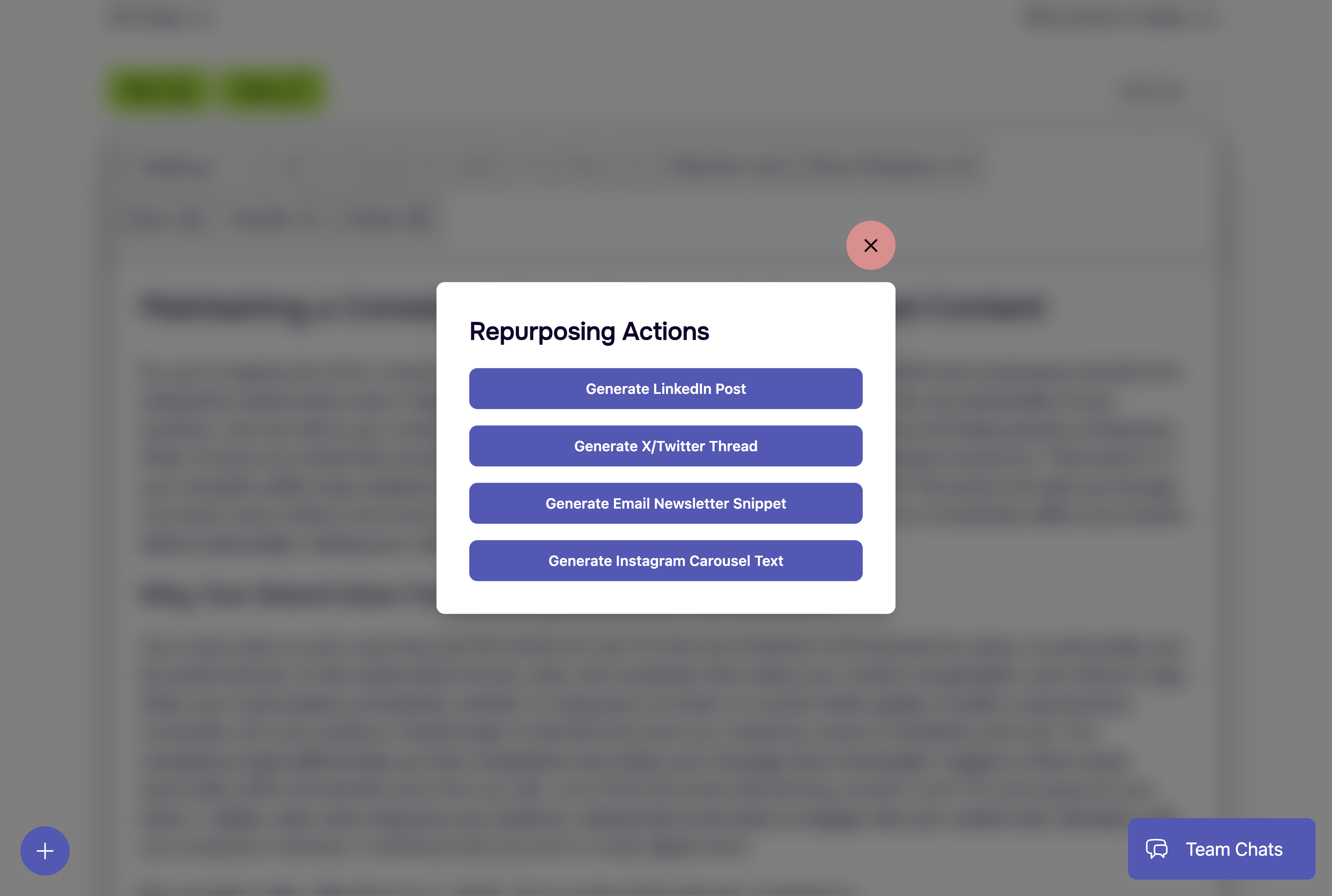 LitContent gallery image
