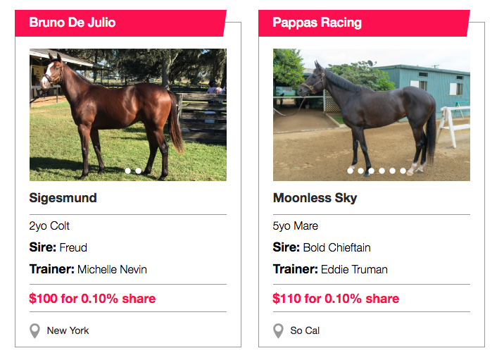 My Race Horse gallery image