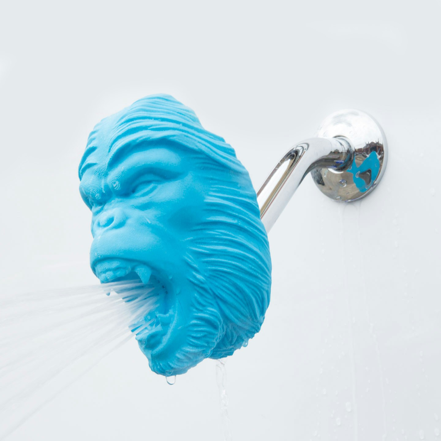 Zooheads gallery image