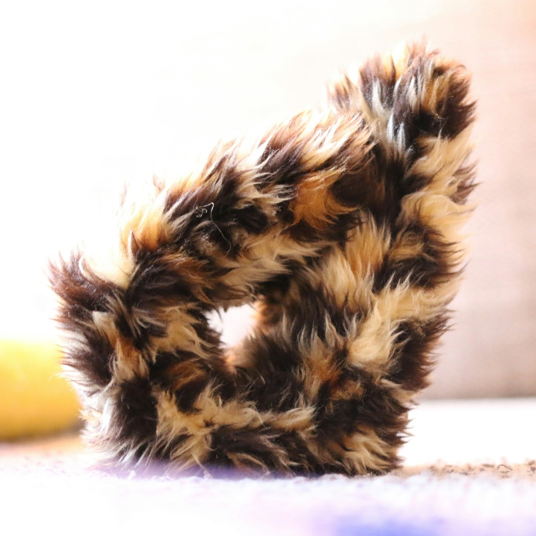 flatcat gallery image