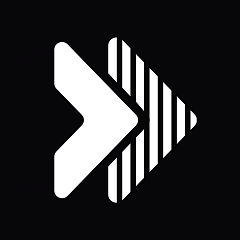 Visual Translate by Vozo logo