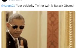 The @Twitter Celebrity Twin Predictor media 1