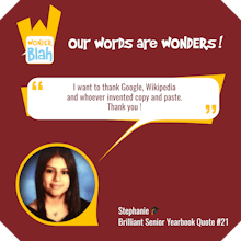 WonderBlah gallery image