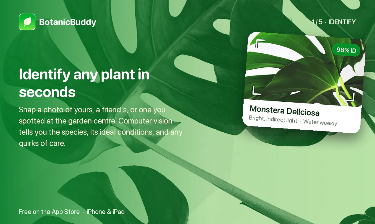 Botanic Buddy - Plant Identification App gallery image