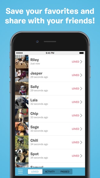 BarkBuddy gallery image