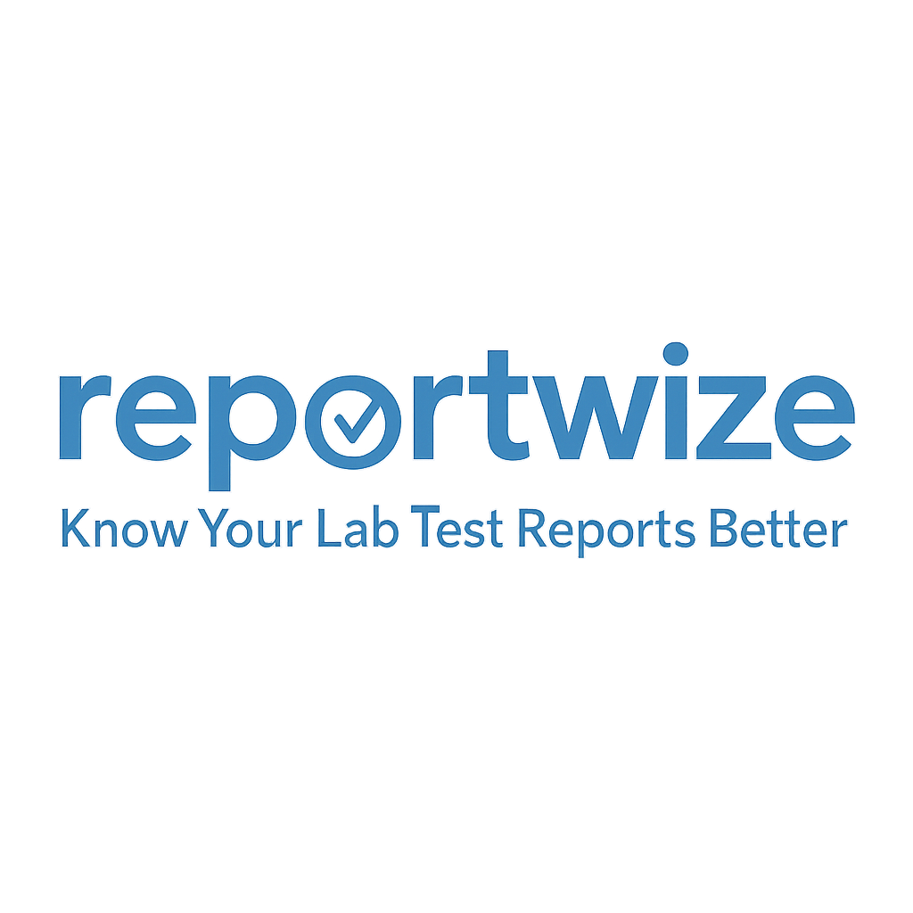ReportWize - Main product screenshot demonstrating key features and user interface
