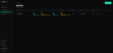 VektorAI — AI Visibility Audit Tool gallery image