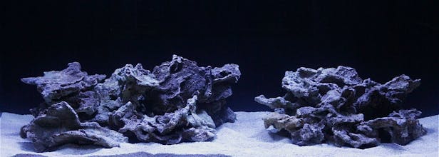 CoralScape.app gallery image