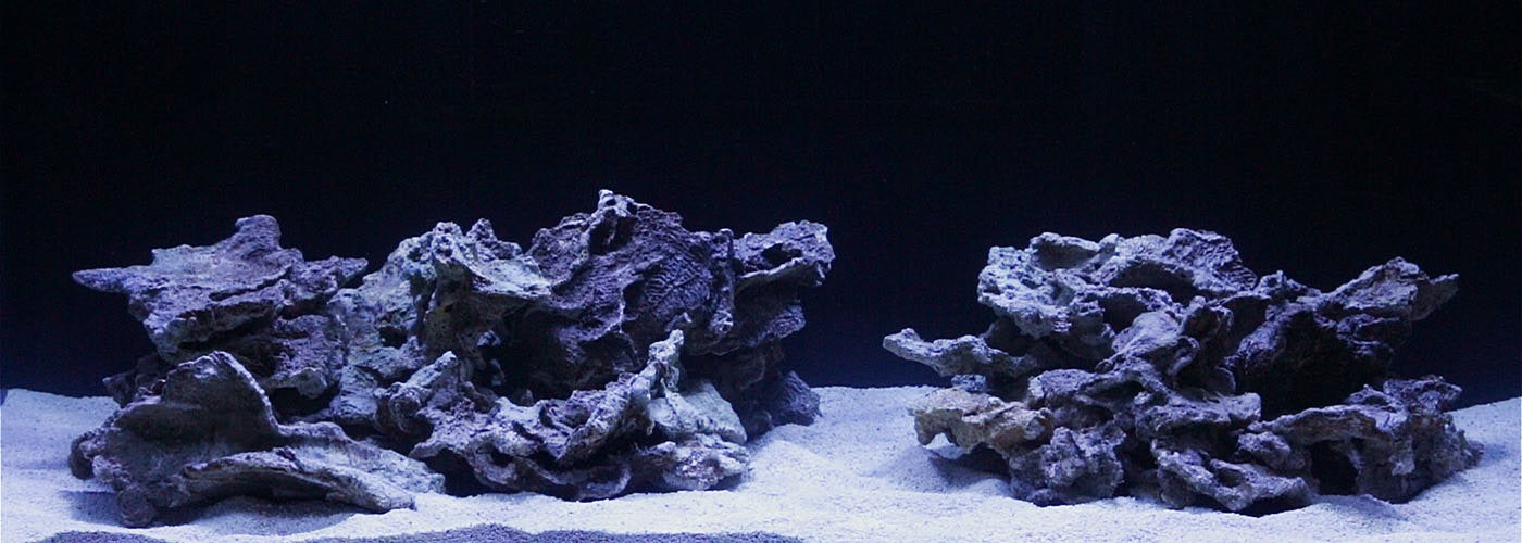 CoralScape.app media 3