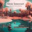 Slow Internet