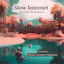 Slow Internet