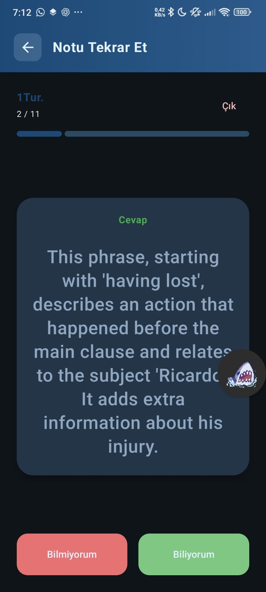 LynqoFin gallery image