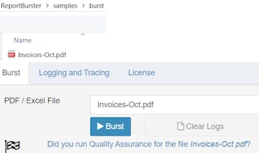 ReportBurster: “Batteries‑Included” BI gallery image