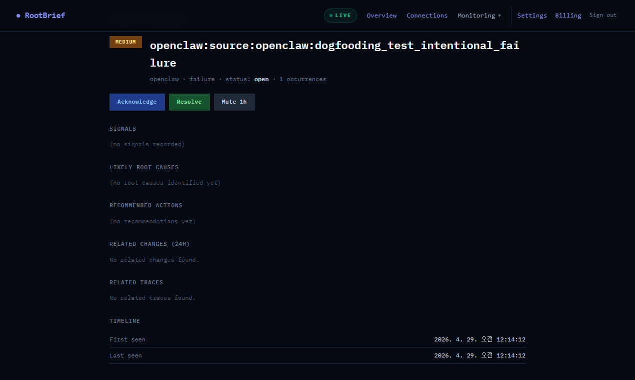 RootBrief gallery image
