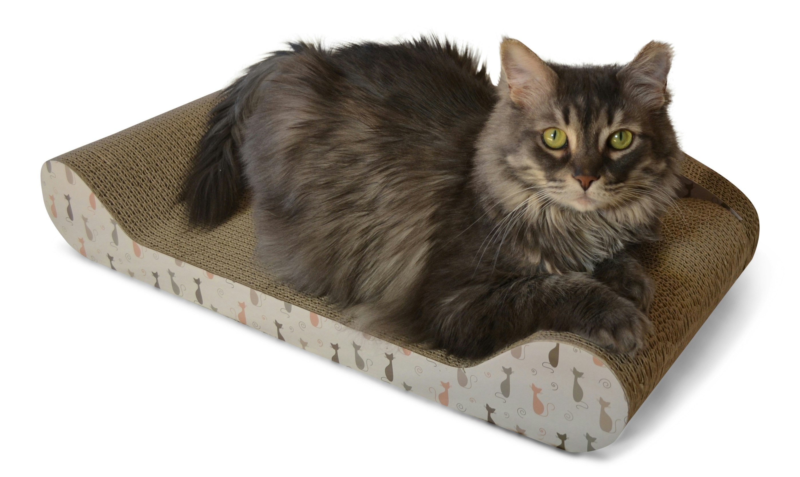 Kitty Couch by Feline Be Mine Product Information, Latest Updates, and Reviews 2024 Product Hunt